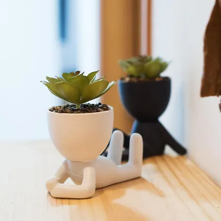 Bio Penthouse, South Terrace