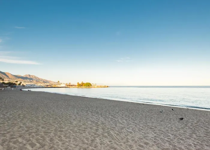 Bio Penthouse, South Terrace