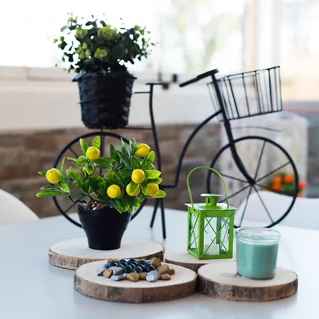 Bio Penthouse, South Terrace *