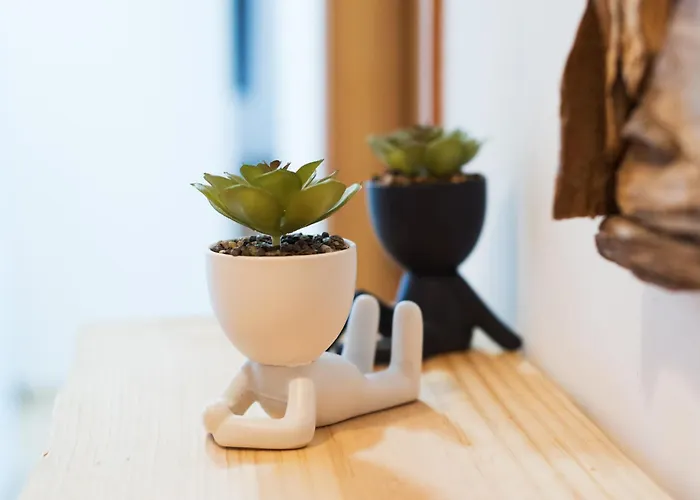 Bio Penthouse, South Terrace